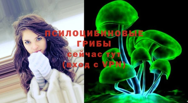СК Горняк