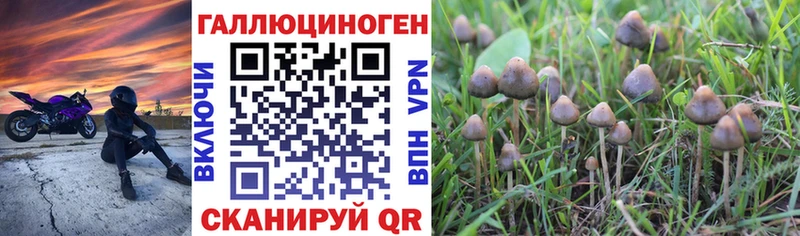 Псилоцибиновые грибы ЛСД  Донской 