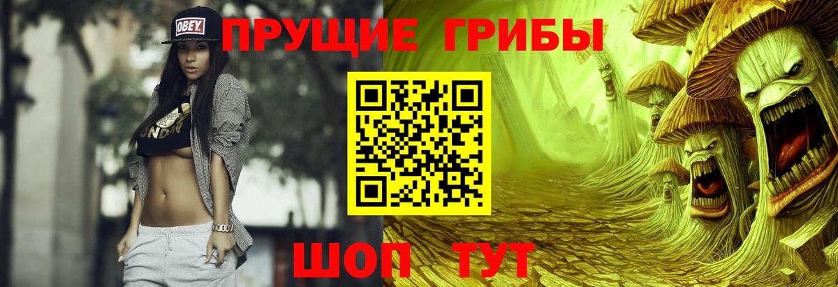 Псилоцибиновые грибы Psilocybe Донской