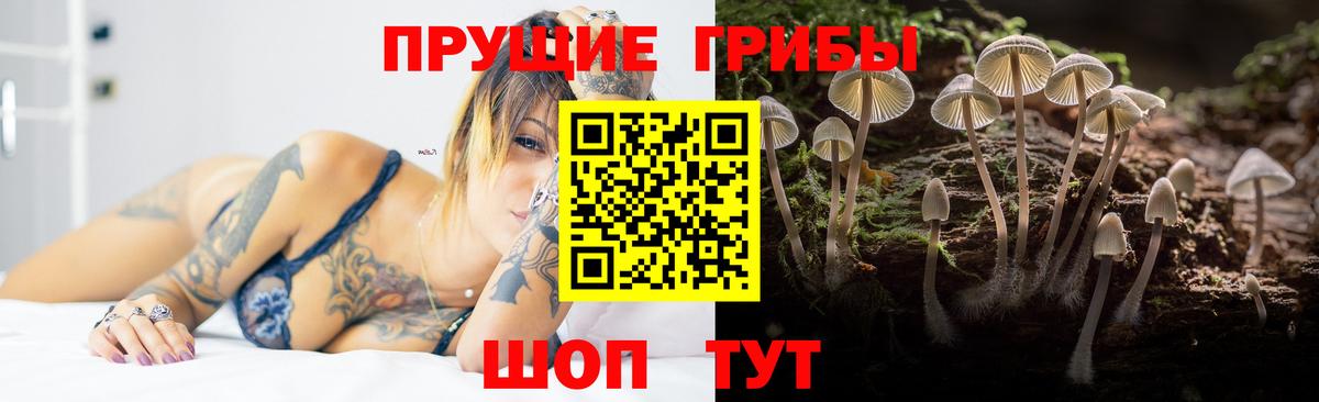 Галлюциногенные грибы Magic Shrooms  Вход с VPN  Псилоцибиновые грибы Psilocybe  Донской 
